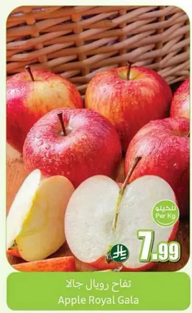 Apple Royal Gala