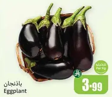 باذنجان