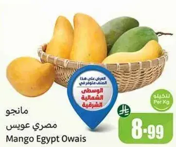 Mango Egypt Owais