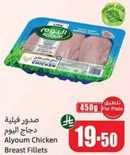 صدور دجاج اليوم