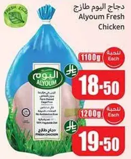 دجاج اليوم طازج