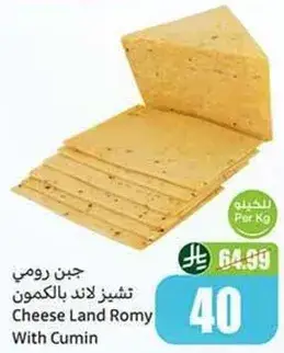 جبن لاند رومي بالكومون