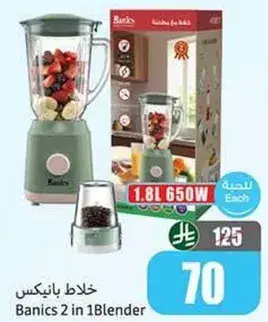Banics 2 in 1 Blender