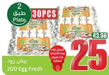 بيض زود طازج