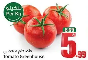 طماطم محمي