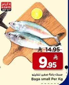 سمك باقه صغير للخيلو