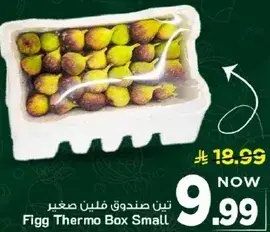 صندوق فيجن صغير