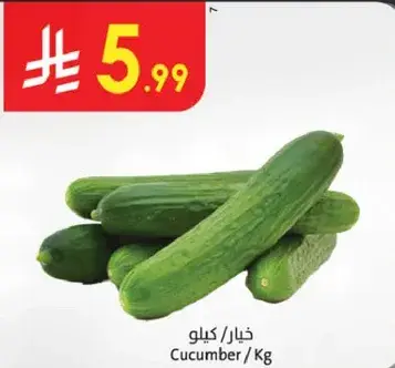 خيار / كيلو