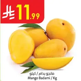 Mango Badami