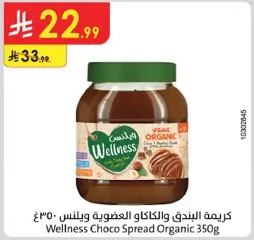 Wellness Choco Spread Organic 350g