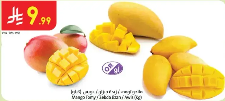 Mango Tomy