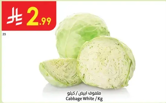 ملفوف ابيض