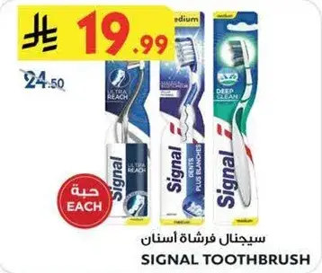 Signal Toothbrush.