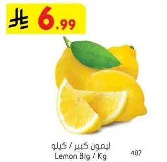 ليمون كبير / كيلو