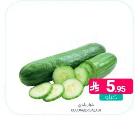 Cucumber Baladi