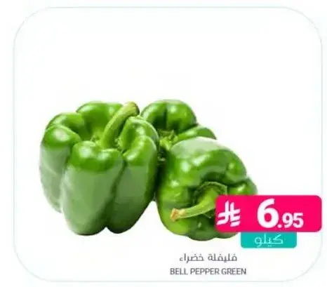 Bell Pepper Green
