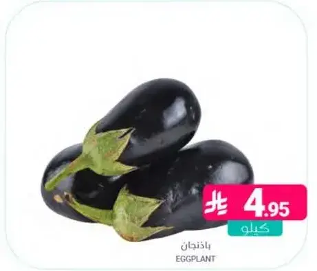 Eggplant