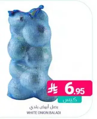 White onion baladi