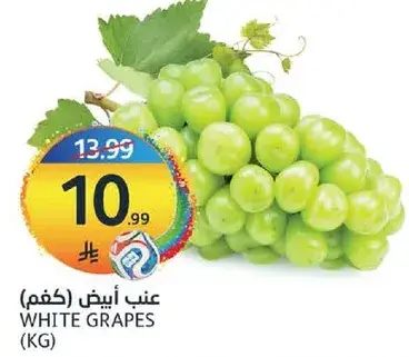 White Grapes (KG)