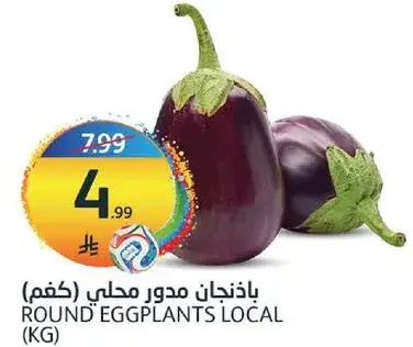 Round Eggplants Local (KG)