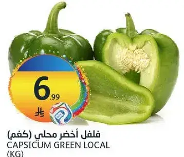Capsicum Green Local (KG)