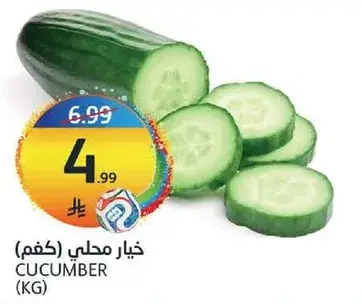 Cucumber (KG)