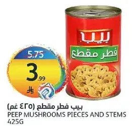 بيب فطر مقطع 425 غم