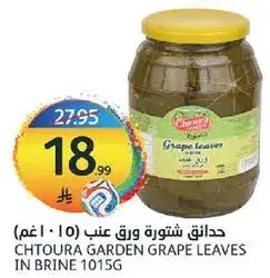 حدايق شتوره ورق عنب 1015غ