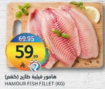هامور فيليه طازج (كغم).