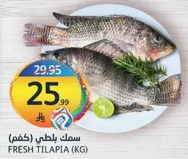 سمك بلطي (كغم).