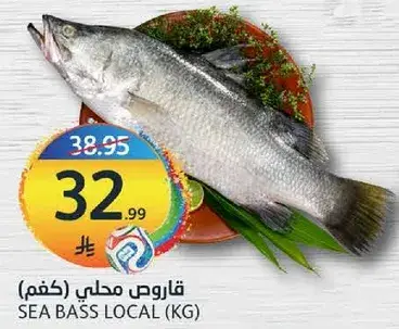سمك قاروص محلي (كغم).