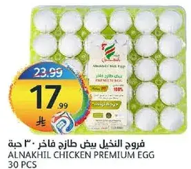 Alnakhil Chicken Premium Egg 30 pcs