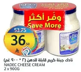 Nadec Cheese Cream 2 x 900G