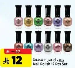 Nail Polish 12 Pcs Set