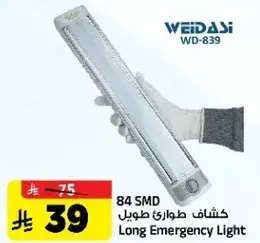 Long Emergency Light