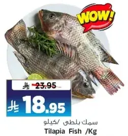سمك بلطي/كيلو