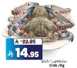 Crab /Kg
