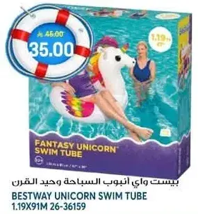 Bestway Unicorn Swim Tube