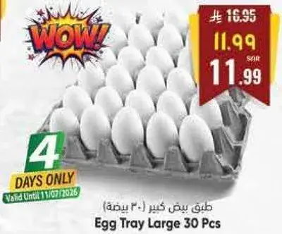 طبق بيض كبير 30 بيضه