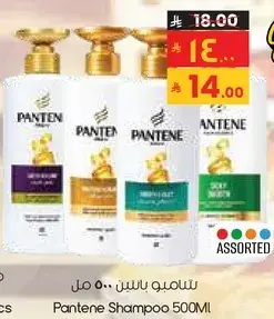 شامبو بانتين 500 مل