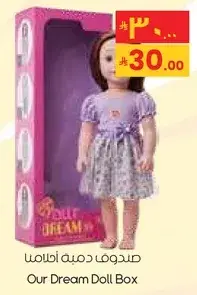 Our Dream Doll Box