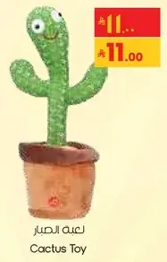 Cactus Toy