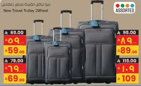New Travel Trolley 2Wheel