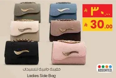 Ladies Side Bag