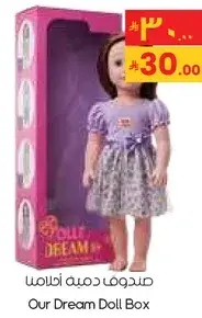 Our Dream Doll Box