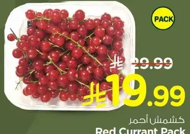 Red Currant Pack