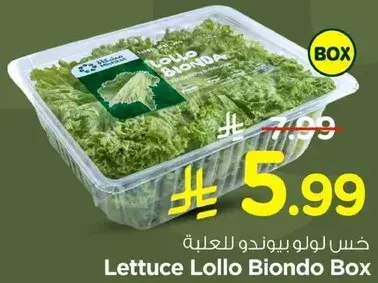 Lettuce Lollo Biondo Box