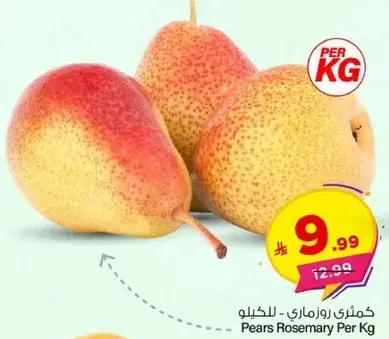 كمثري روزماري - للكيلو