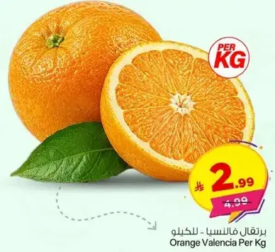 Orange Valencia Per Kg
