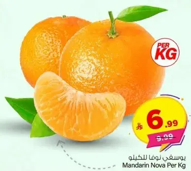 يوسفي نوفا للكيلو
